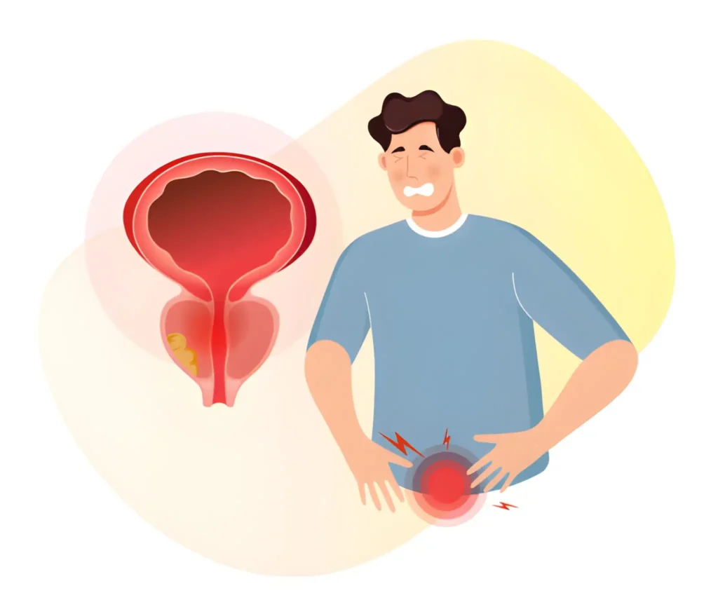 Men’s Urinary System After Age 40