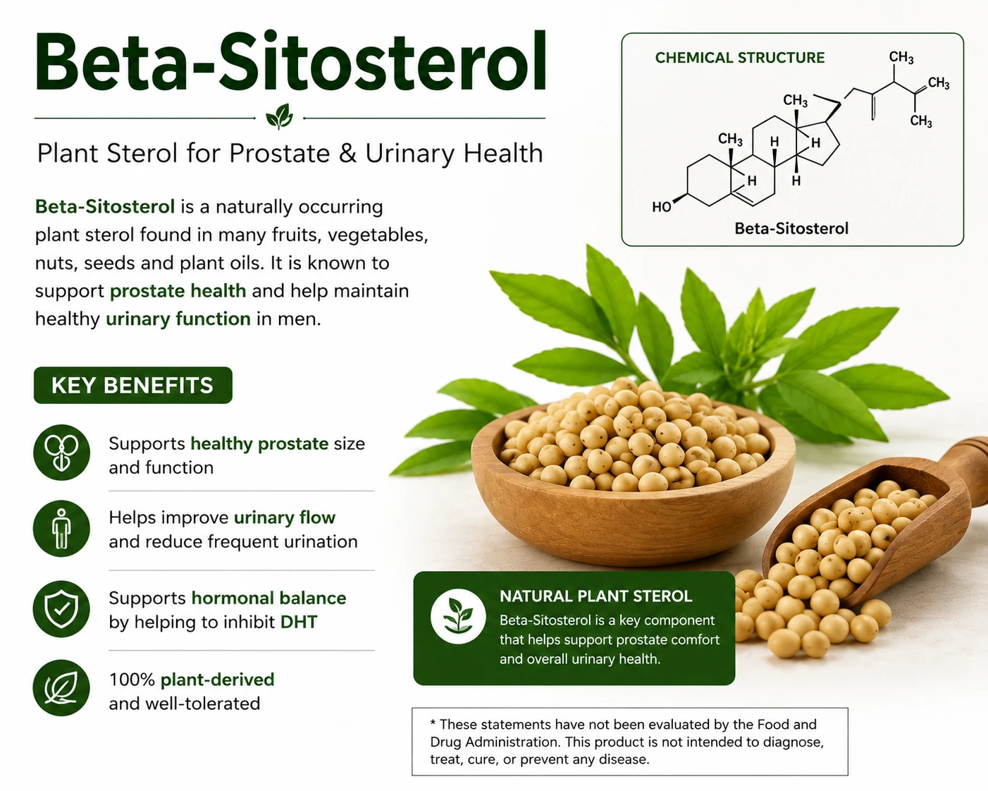 Beta-Sitosterol infographic highlighting prostate support and improved urinary health benefits.
