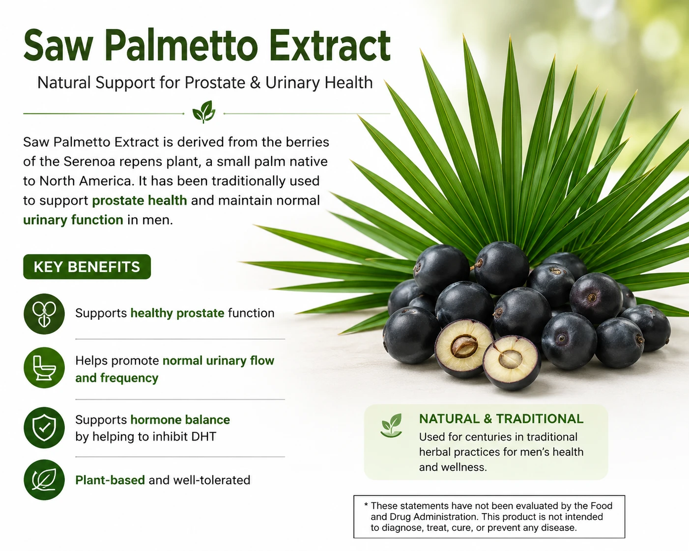 Saw Palmetto Extract infographic showing natural support for prostate health and urinary function in men.